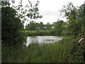 Lake seen from Blyborough churchyard