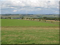 Farmland north of Shankhead