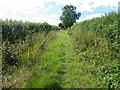 Restricted byway, Cucklington