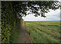 Salt-marsh and coastal wall