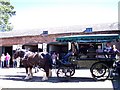 Shire horses and cart at Erddig