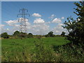 Fields near St Brides