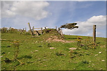 SS4538 : The footpath to Croyde crosses a stile on a somewhat dishevelled hill top by Roger A Smith