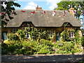 More Thatch in Longstock