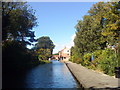 Ripon canal approaching the end