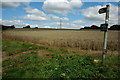 Public bridleway  at Upper Coberley