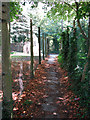 Narrow path to Hollow Road, Bury St Edmunds