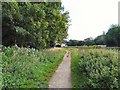 Trans Pennine Trail