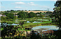 Ponds at Piccotts End