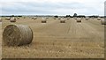 View of Harvested Field