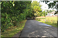 Road at Valley International Park