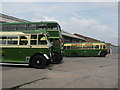 Flowers Hill Vintage Buses