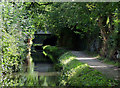 Staffordshire and Worcestershire Canal at Fordhouses, Wolverhampton