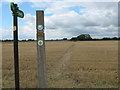 Footpath to Spring Farm Road