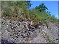 Exposed rock at the end of the forest track