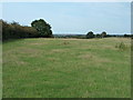 Field off Stodmarsh Road