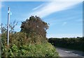 Cycle route 42 north of Barach Farm