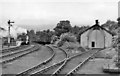 Wearhead Station and engine shed