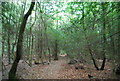 Footpath on Marley Common