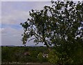 View from footpath above Duncton Mill