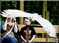 TQ3643 : Snowy Owl at the British Wildlife Centre, Newchapel, Surrey by Peter Trimming