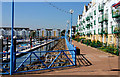 Marina and apartments, Carrickfergus