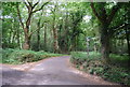 Sussex Border Path off Marley Lane