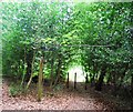 Footpath off the Sussex Border Path