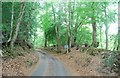 Sussex Border Path west of Marley Lane