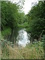 Oakham Canal