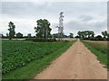 Towards Hall Farm