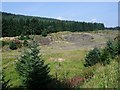 NS7084 : Forestry Commission quarry, Cairnoch Hill by Robert Murray