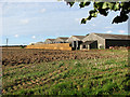 Farm sheds at Toftrees