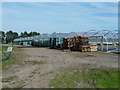 Polytunnels at Sandbanks Farm