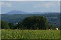 View south towards the Malvern Hills