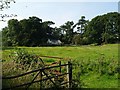 Gates and Outbuilding, Beoch Cottage