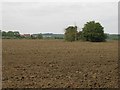 SP3049 : Ploughed field and clump of trees by David P Howard
