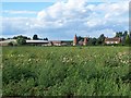 Across The Fields To Tilts Farm