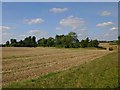 SP3349 : Stubble field near Hall Farm by David P Howard