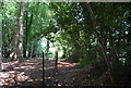 Footpath near Gillham