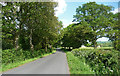 Country road near Graffham (2)