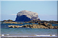 NT6087 : Bass Rock by Janis Cornwall