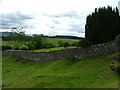 Walled enclosure near Blindwell