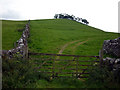 Gateway, Thorpe Lane