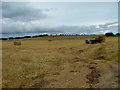 Straw bales and trailer at Pittendreich