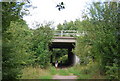 TQ5057 : Darent Valley Path goes under the M26 by N Chadwick