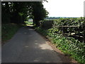 The lane to Marslands Farm, Corley