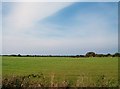 Sheep pastures north of the B4413