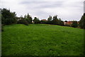 A grassy area amid the housing developments