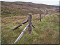 NG3651 : Fence on the moor by Richard Dorrell